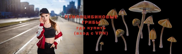 мескалин Гусь-Хрустальный