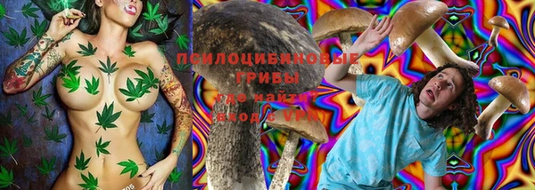 мескалин Гусь-Хрустальный