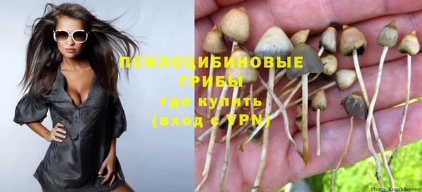 гидропоника Гусиноозёрск
