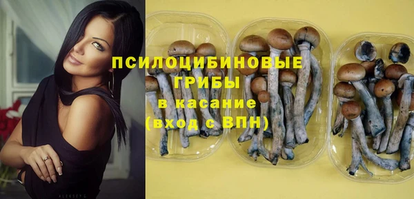 меф VHQ Гусев