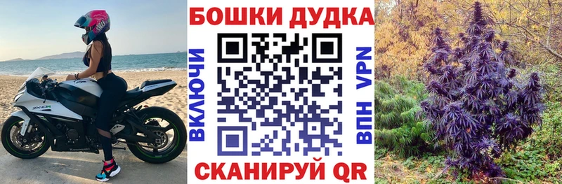 наркотики  Юхнов  Каннабис сатива 